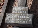 image of grave number 827162